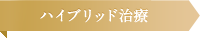 ハイブリッド治療