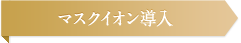 マスクイオン導入